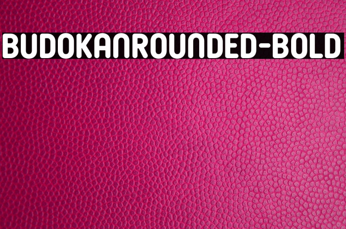 BudokanRounded-Bold Example 2