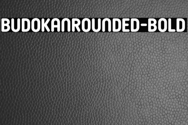 BudokanRounded-Bold Font examples