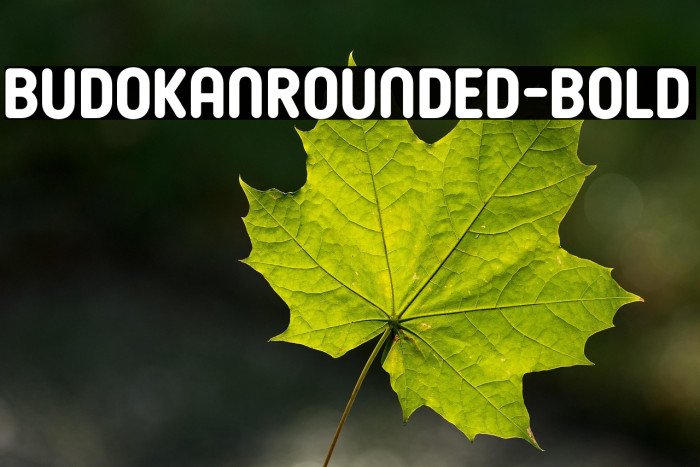 BudokanRounded-Bold Example 3