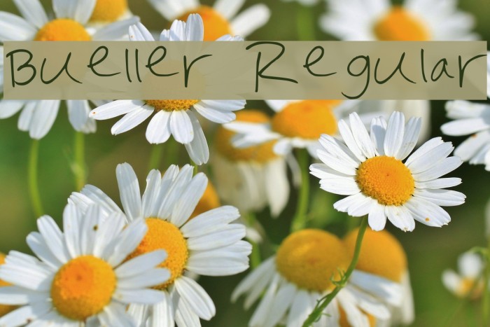 Bueller Regular Font examples