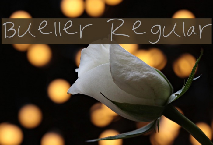 Bueller Regular Font examples