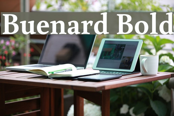 Buenard Bold Font examples