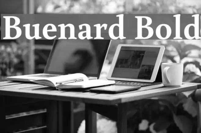 Buenard Bold Example 3