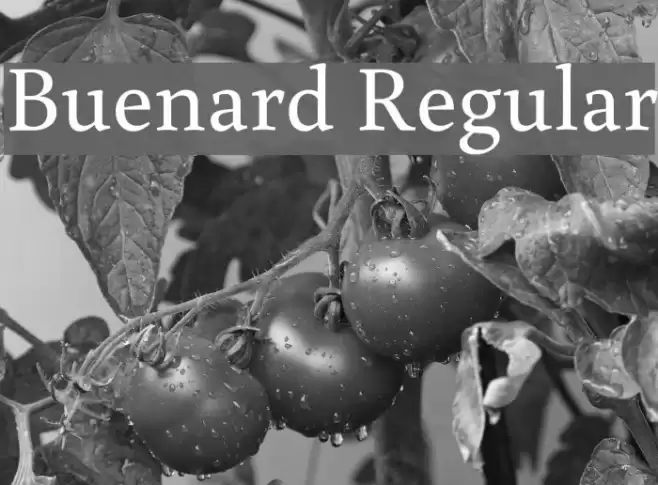 Buenard Regular  examples