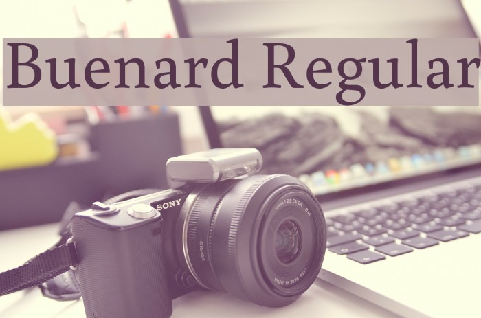 Buenard Regular Font examples