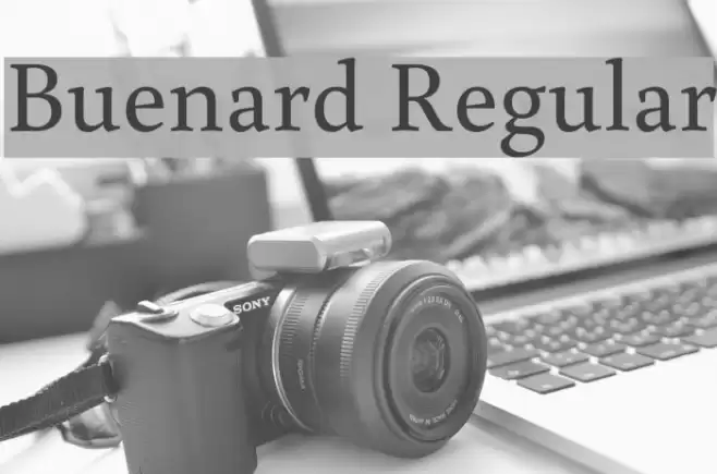 Buenard Regular  examples