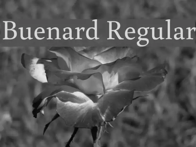 Buenard Regular  examples