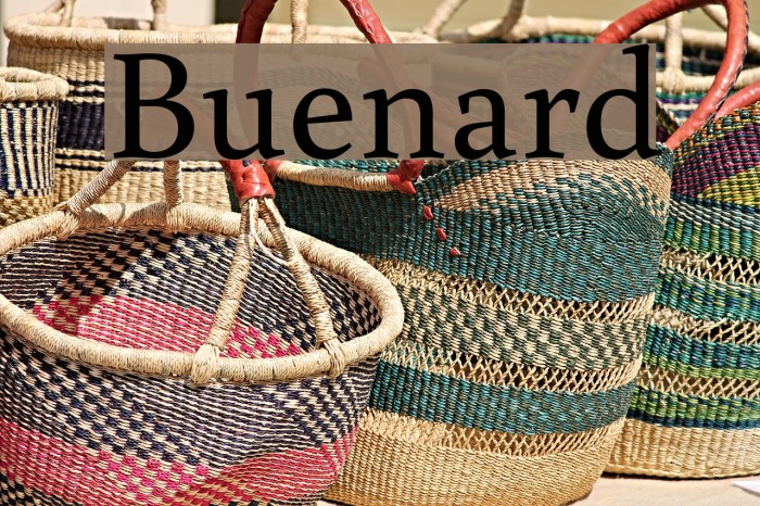 Buenard Font examples