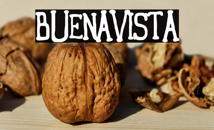 Buenavista Example 1