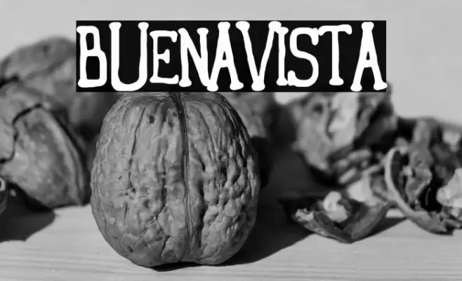 Buenavista Шрифта examples