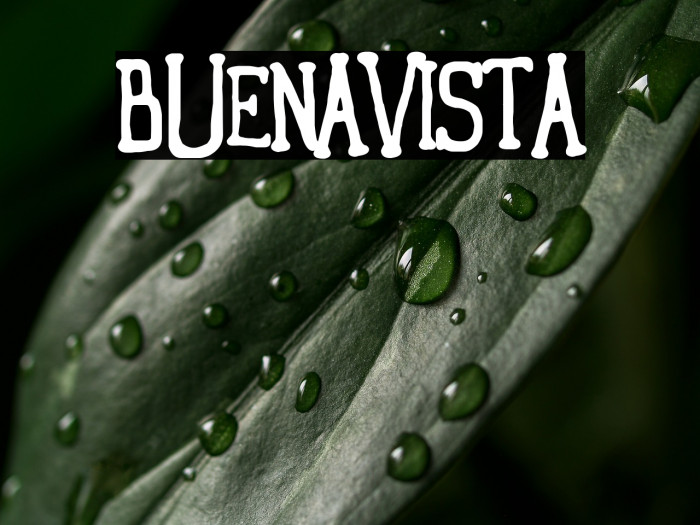 Buenavista Example 3