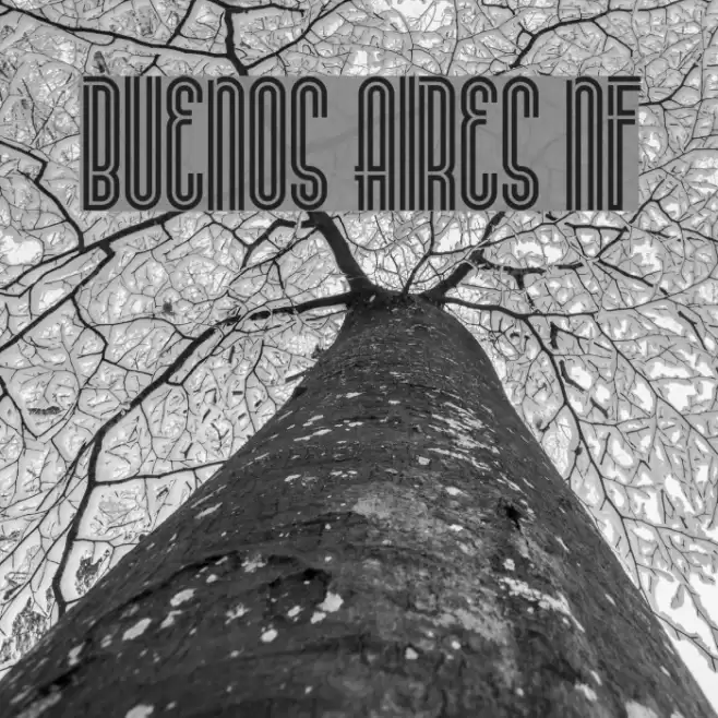 Buenos Aires NF Font examples