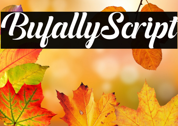 BufallyScript Example 1