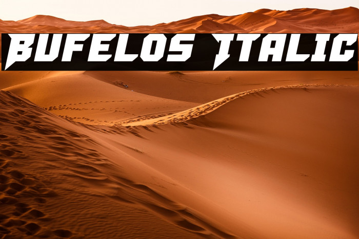 Bufelos Italic Example 2