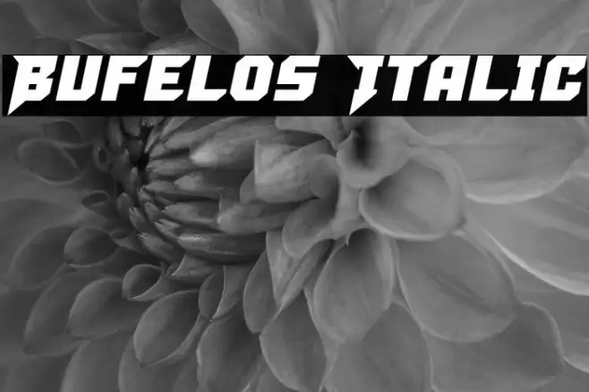 Bufelos Italic Font examples