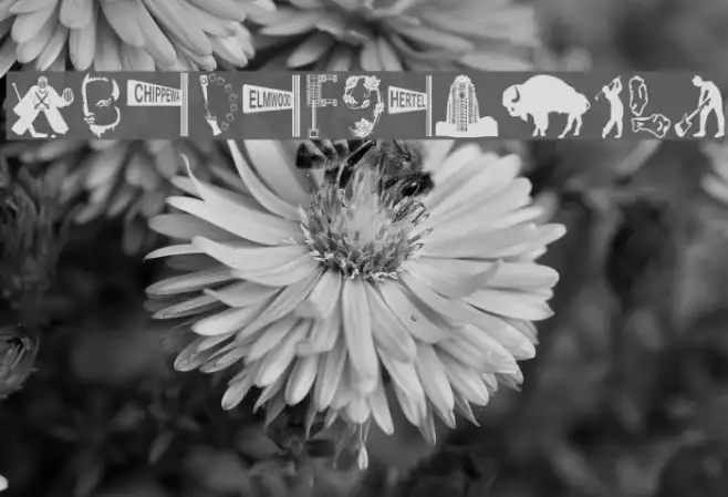 BuffalO Example 1