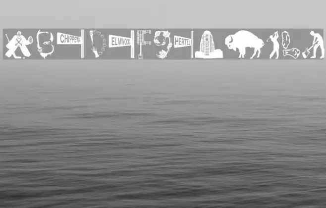 BuffalO Example 2