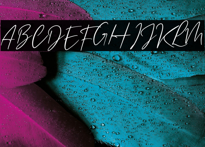 Buffalo City Example 2