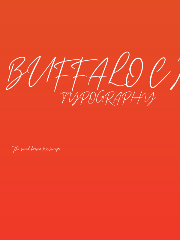 Buffalo City Poster