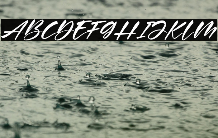 Buffalo Italic Example 2