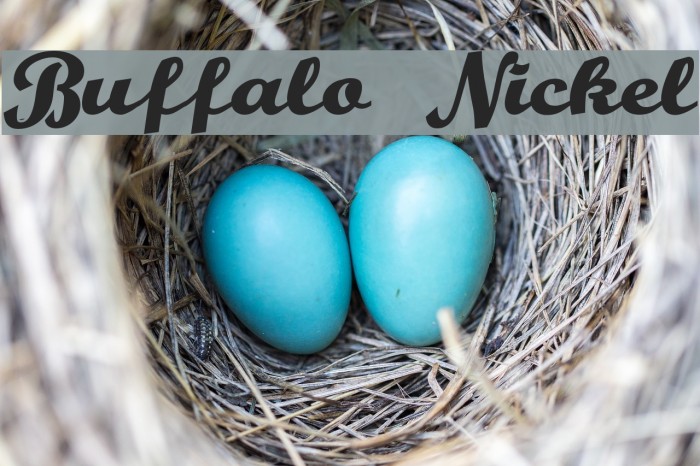 Buffalo Nickel Font examples