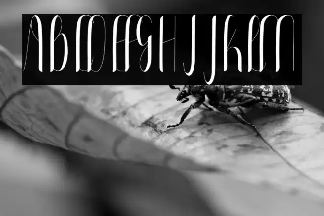 Buffalo Font examples