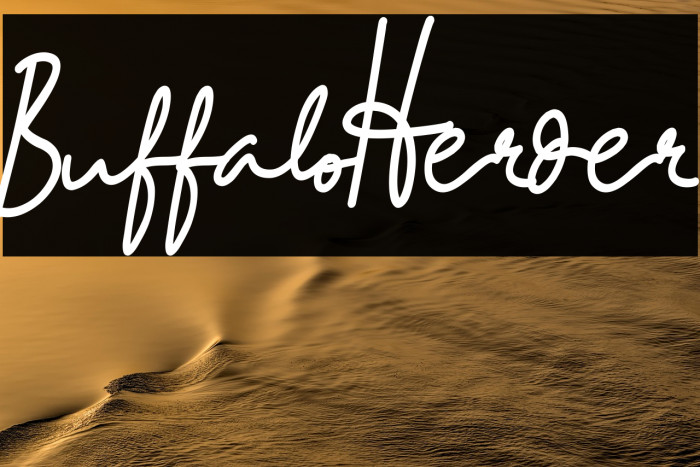 BuffaloHerder Example 1