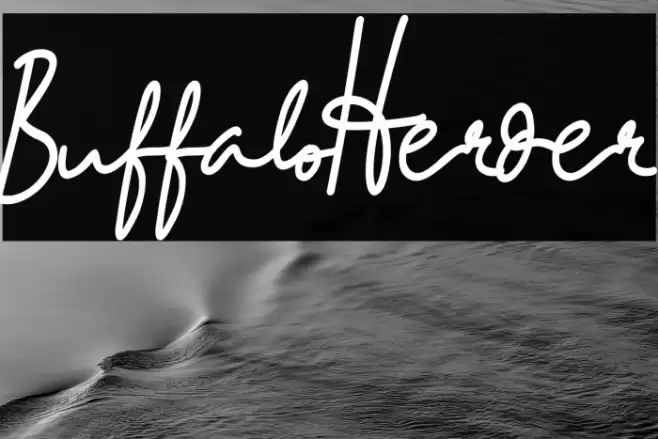 BuffaloHerder Font examples