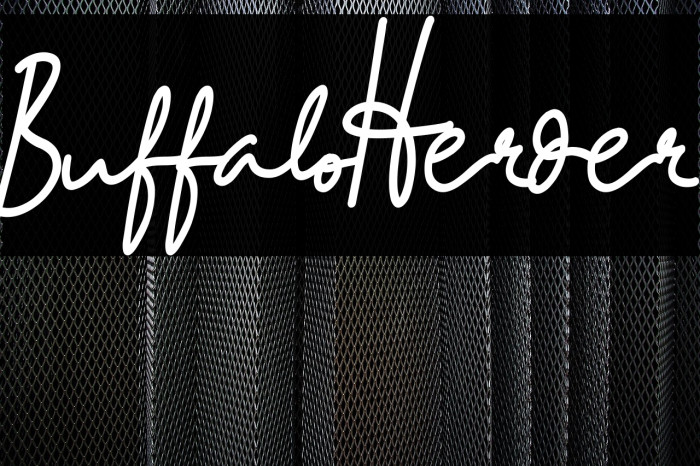 BuffaloHerder Example 2