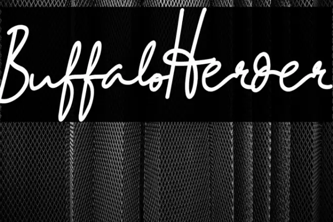 BuffaloHerder Font examples