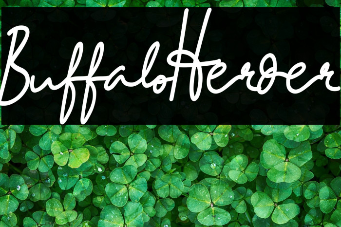 BuffaloHerder Example 3