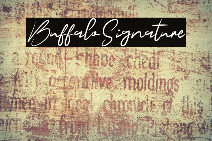 BuffaloSignature Example 1