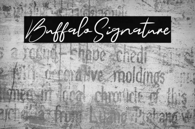 BuffaloSignature Font examples