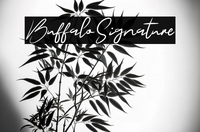 BuffaloSignature Example 2