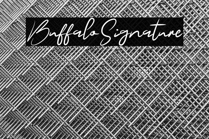 BuffaloSignature Example 3