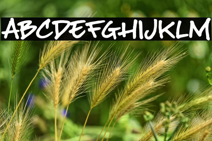 BuffaloStance Example 1