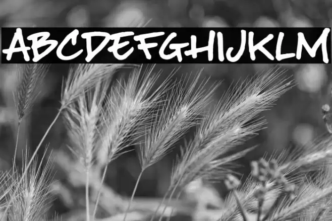 BuffaloStance Font examples