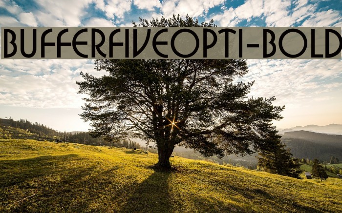BufferFiveOpti-Bold Polices examples