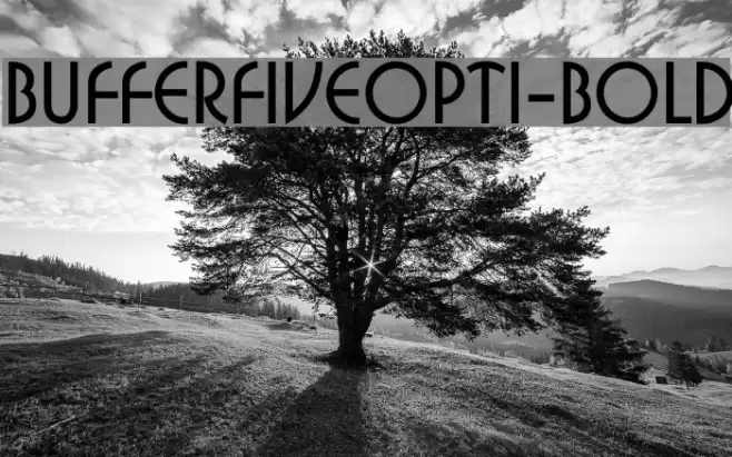 BufferFiveOpti-Bold Font examples