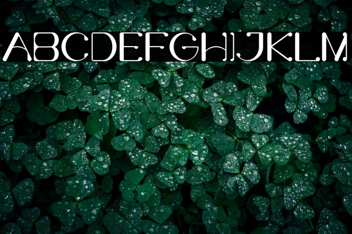 Bufferly Demo Serif Example 3