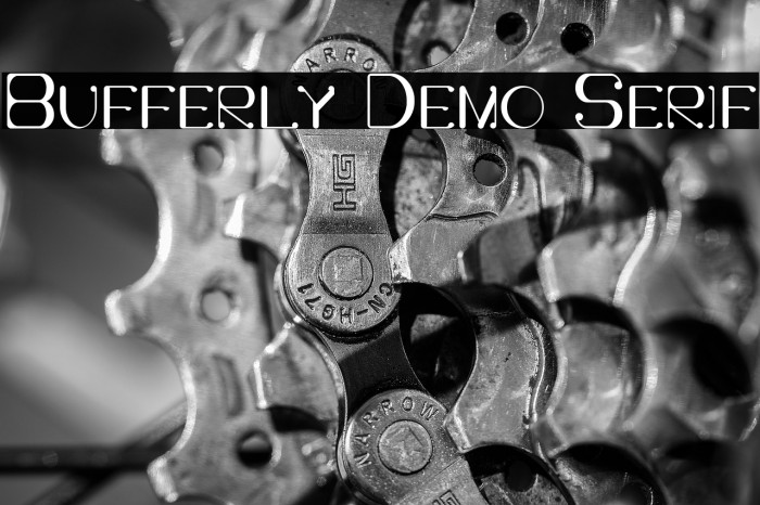 Bufferly Demo Serif Example 1