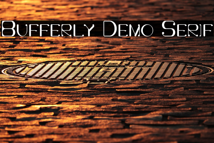Bufferly Demo Serif Example 2