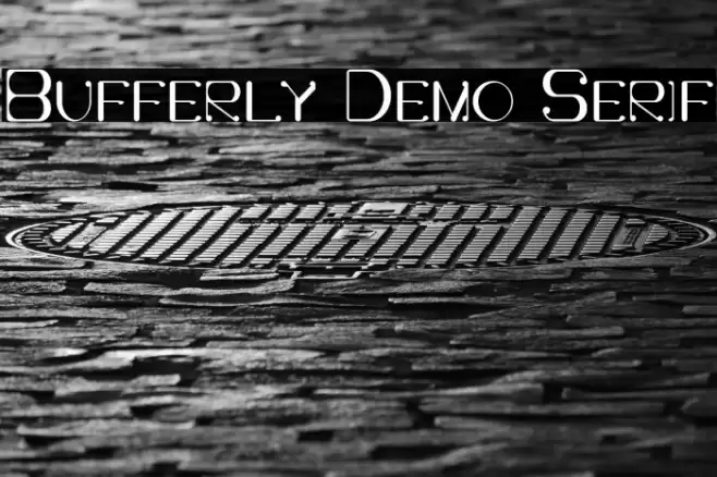 Bufferly Demo Serif Font examples