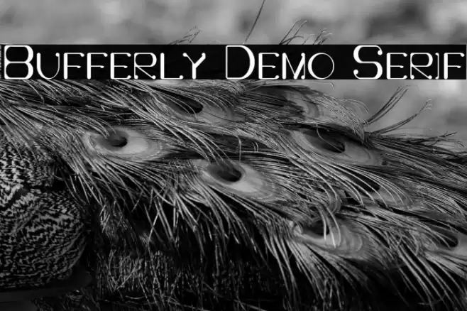 Bufferly Demo Serif Font examples