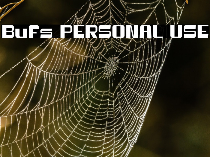 Bufs PERSONAL USE Example 1