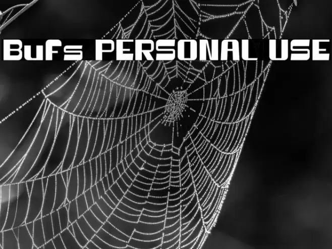Bufs PERSONAL USE フォント examples
