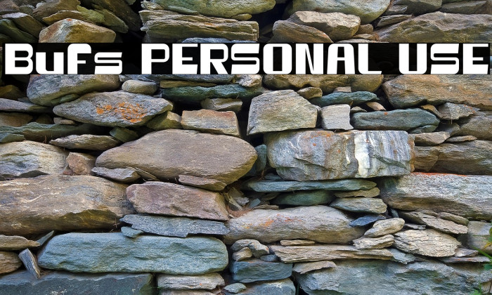 Bufs PERSONAL USE Example 3