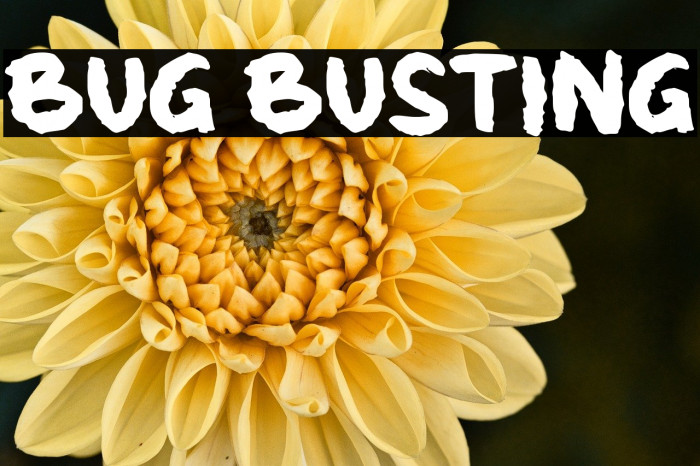 Bug Busting Example 1