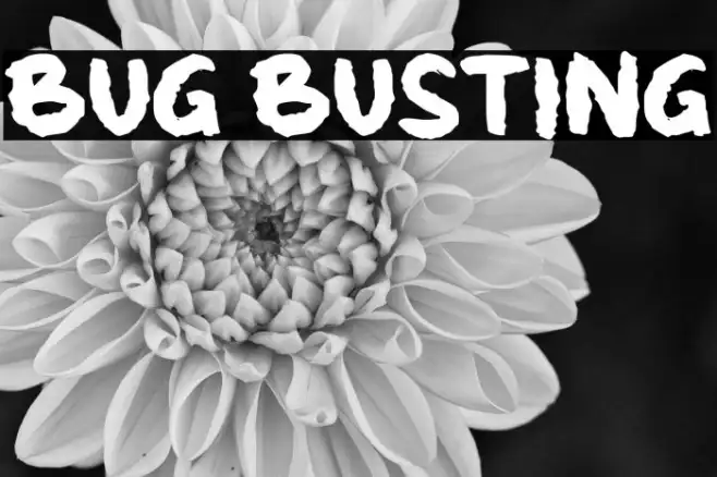 Bug Busting Example 1
