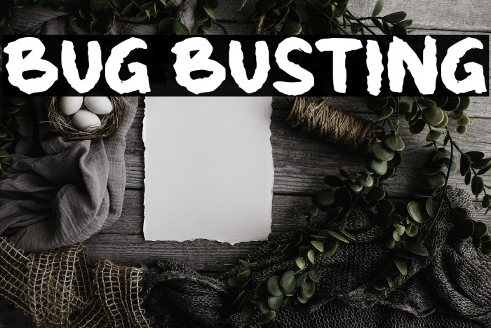 Bug Busting Example 2